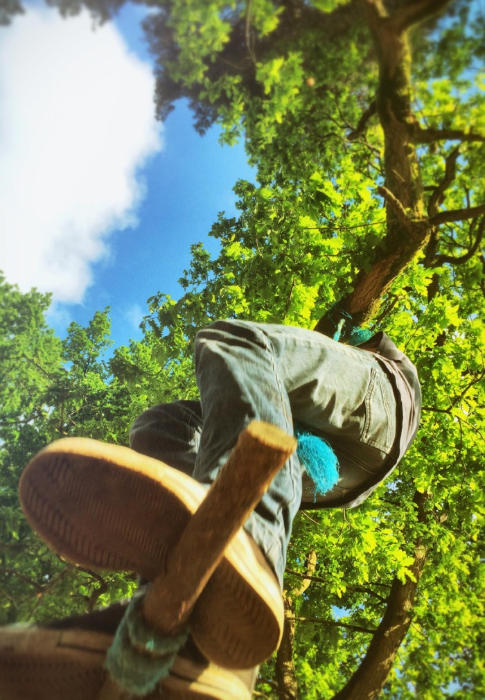 Grimpe d’élagage sur arbre