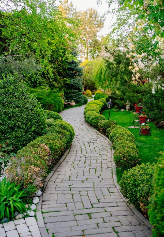 Allée pavée dans jardin
