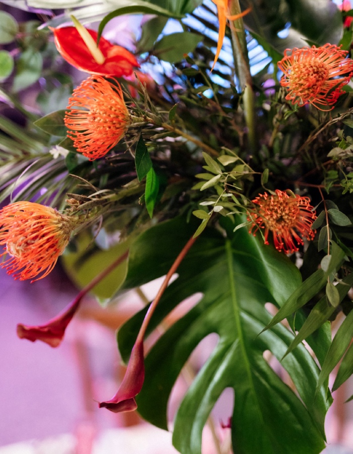 Fleurs exotiques colorées