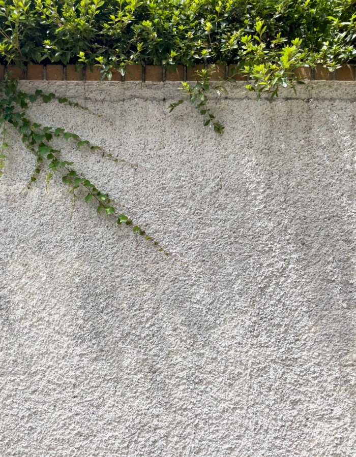 Support avant pose béton ciré